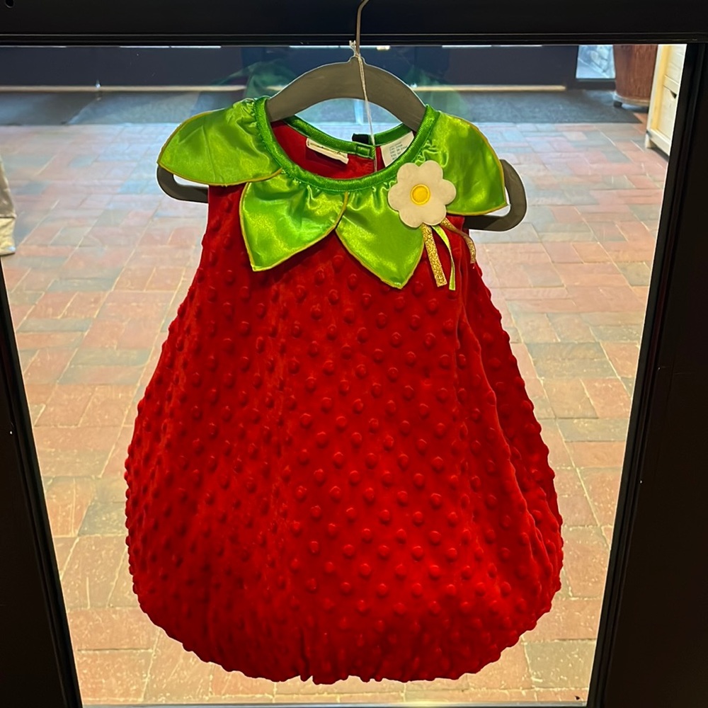 Halloween Strawberry Costume